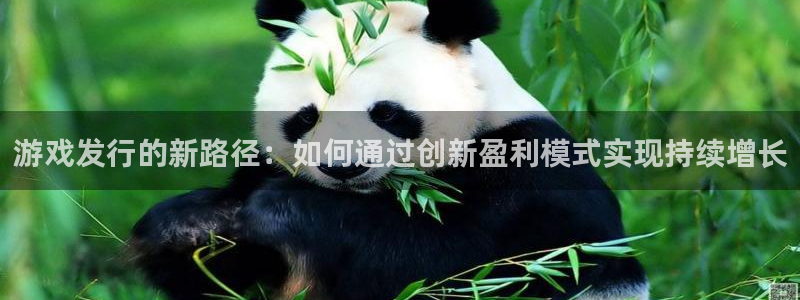 火狐电竞app官网科技有限公司：游戏发行的新路径：如何通过创新盈利模式实现持续增长