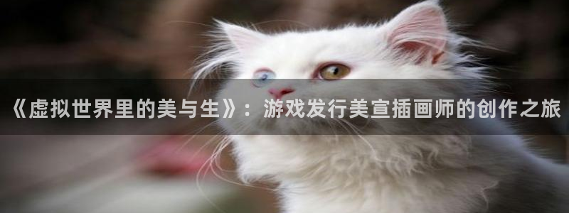 火狐电竞注册平台官网：《虚拟世界里的美与生》：游戏发行美宣插画师的创作之旅