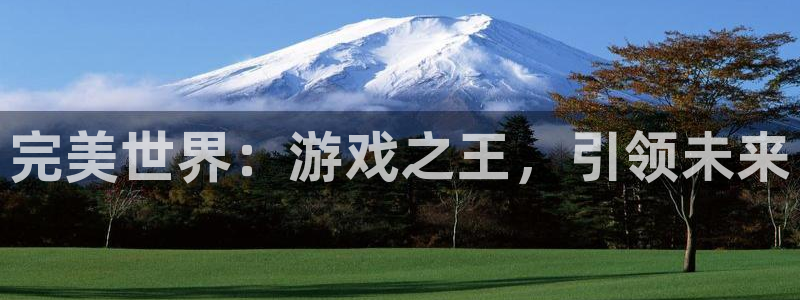 火狐电竞app官网超纯啤酒怎么样：完美世界：游戏之王，引领未来