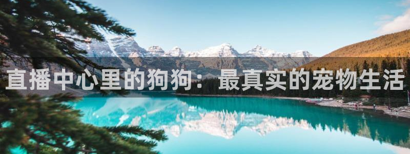 球友体育直播在线观看