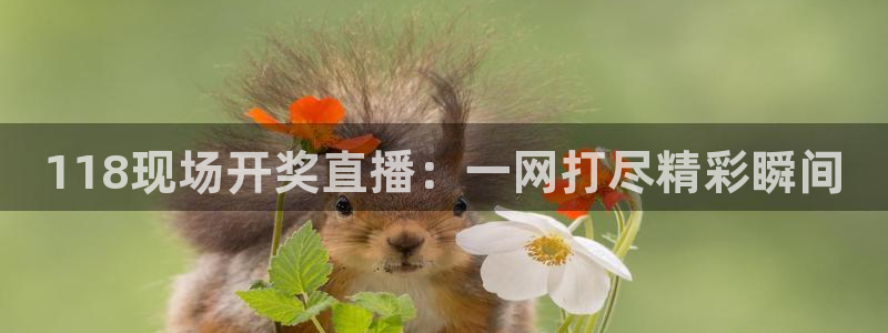 新闻图片