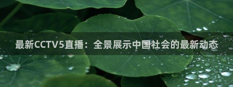 新闻图片