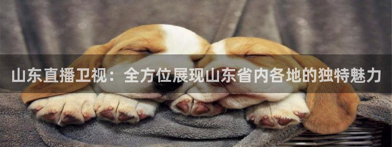 球友体育在线直播：山东直播卫视：全方位展现山东省内各地的独特魅力
