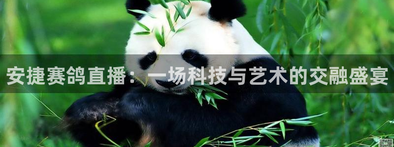 球友体育在线直播：安捷赛鸽直播：一场科技与艺术的交融盛宴
