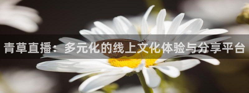 球友体育下载：青草直播：多元化的线上文化体验与分享平台